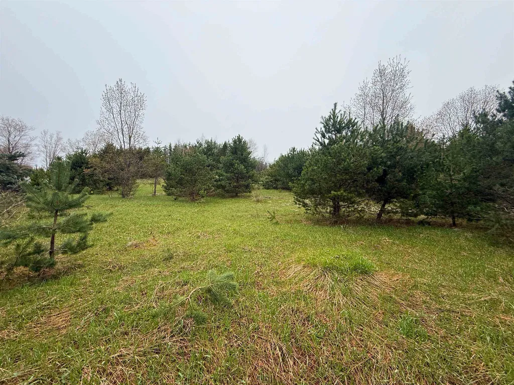 00 W County Line Road Grant Township MI 49683