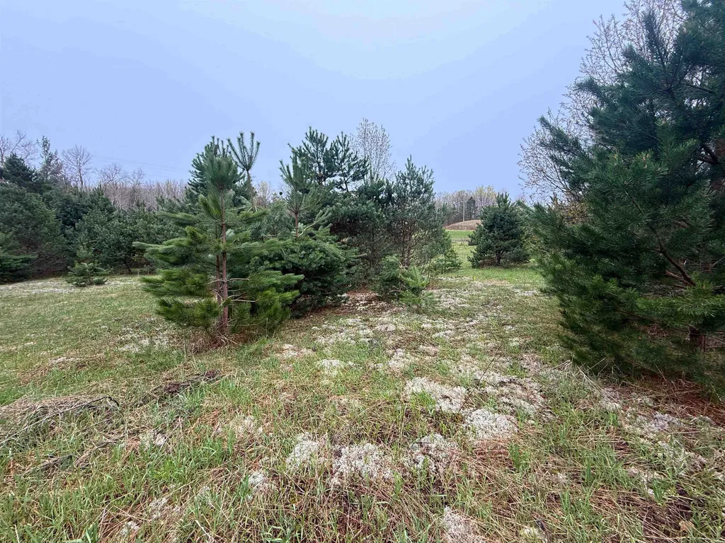 00 W County Line Road Grant Township MI 49683