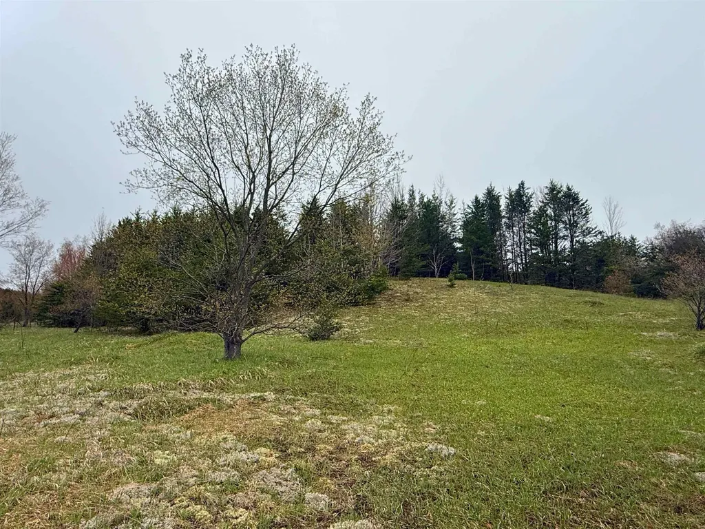 00 W County Line Road Grant Township MI 49683