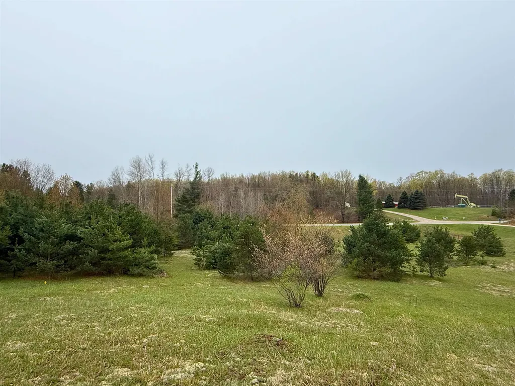 00 W County Line Road Grant Township MI 49683