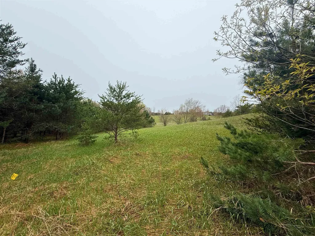 00 W County Line Road Grant Township MI 49683