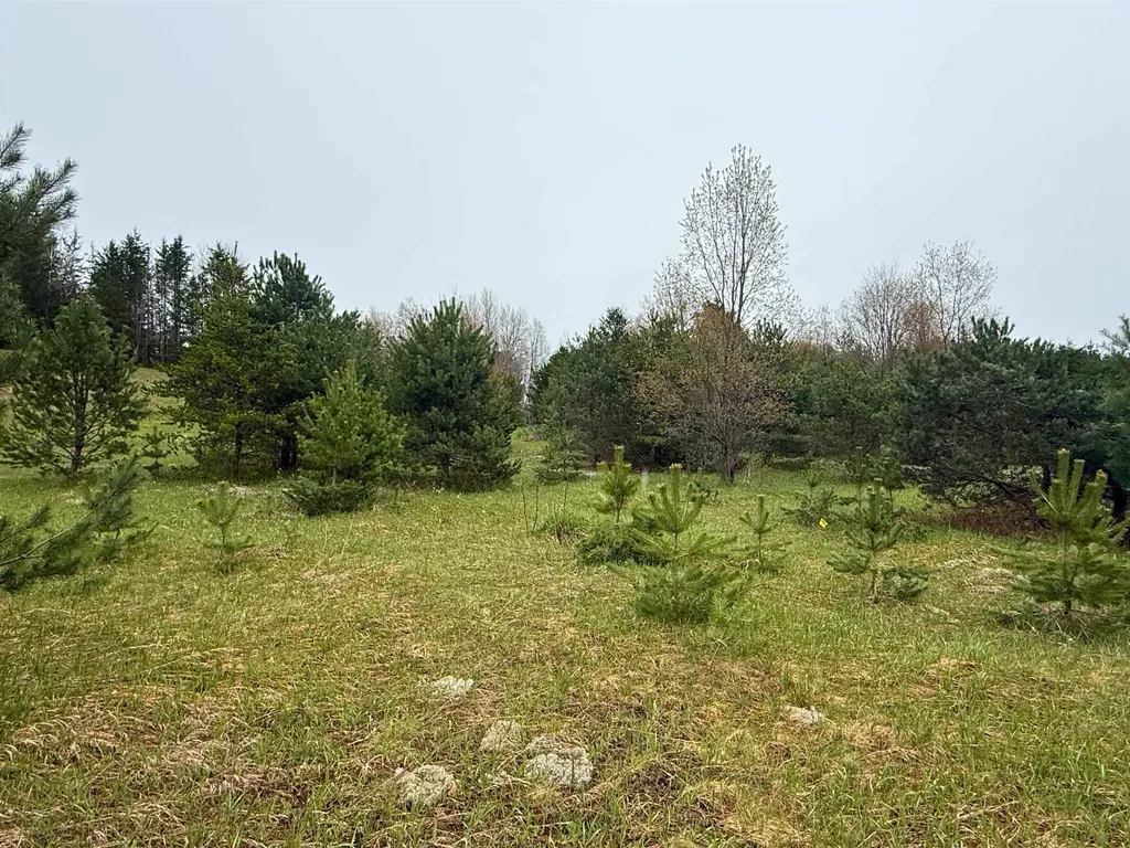 00 W County Line Road Grant Township MI 49683