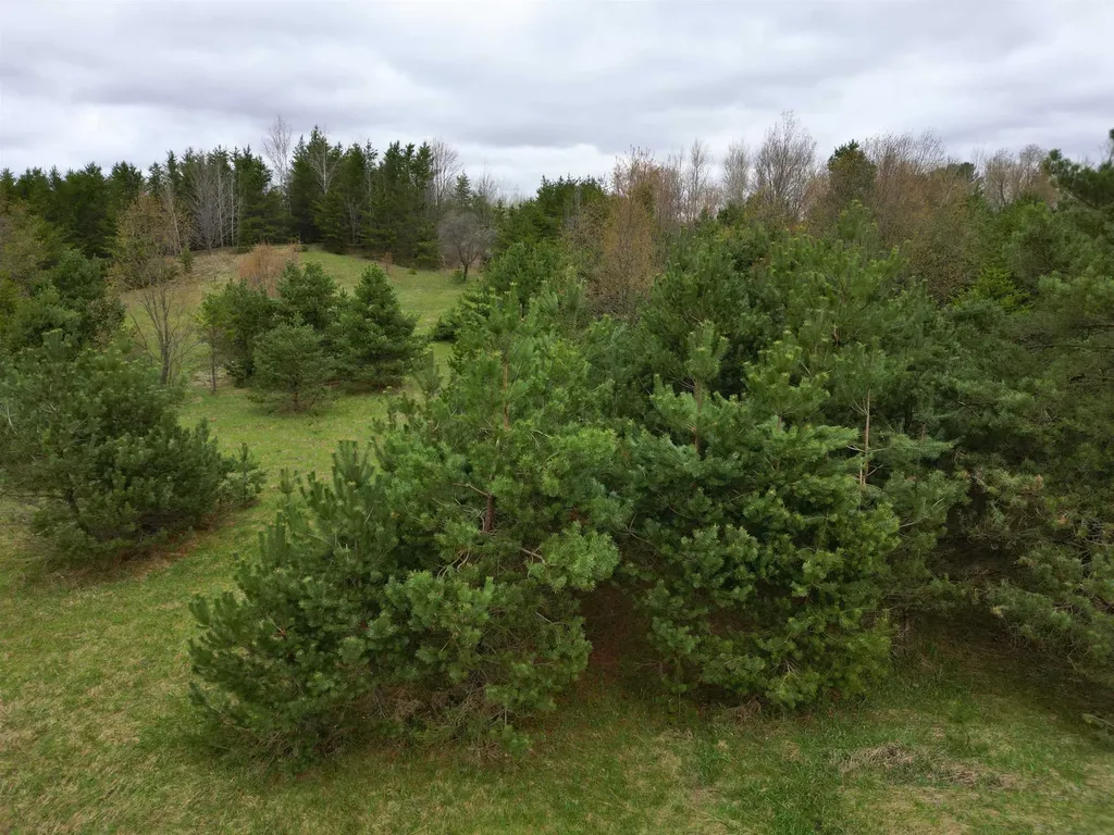 00 W County Line Road Grant Township MI 49683