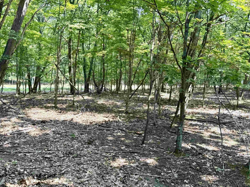 Lot E W Big Sky Trail Glen Arbor Township MI 49664