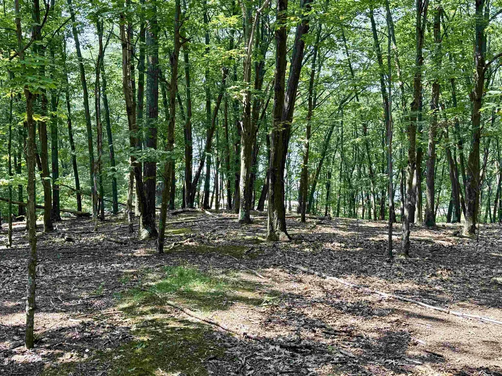 Lot E W Big Sky Trail Glen Arbor Township MI 49664