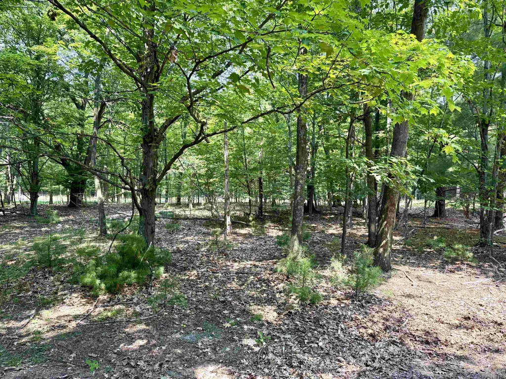 Lot E W Big Sky Trail Glen Arbor Township MI 49664