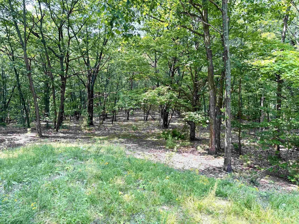 Lot E W Big Sky Trail Glen Arbor Township MI 49664