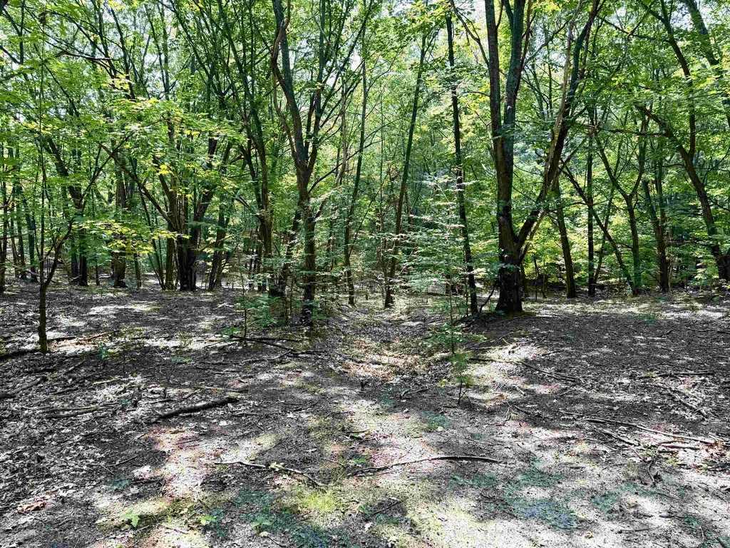 Lot E W Big Sky Trail Glen Arbor Township MI 49664