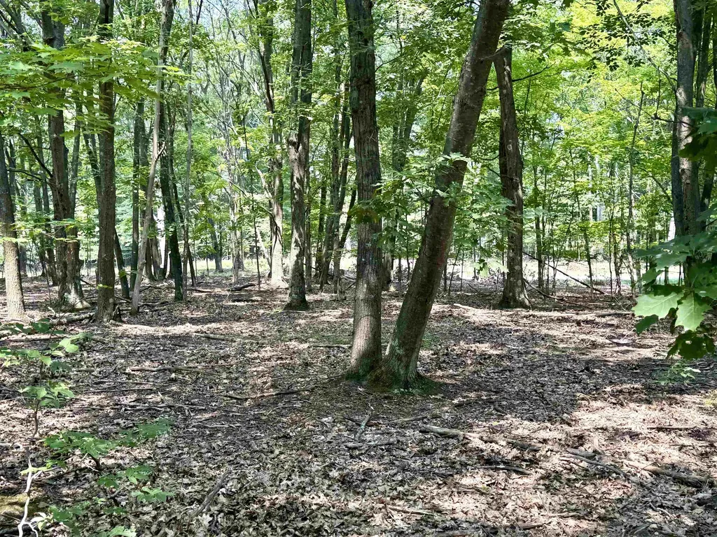 Lot E W Big Sky Trail Glen Arbor Township MI 49664