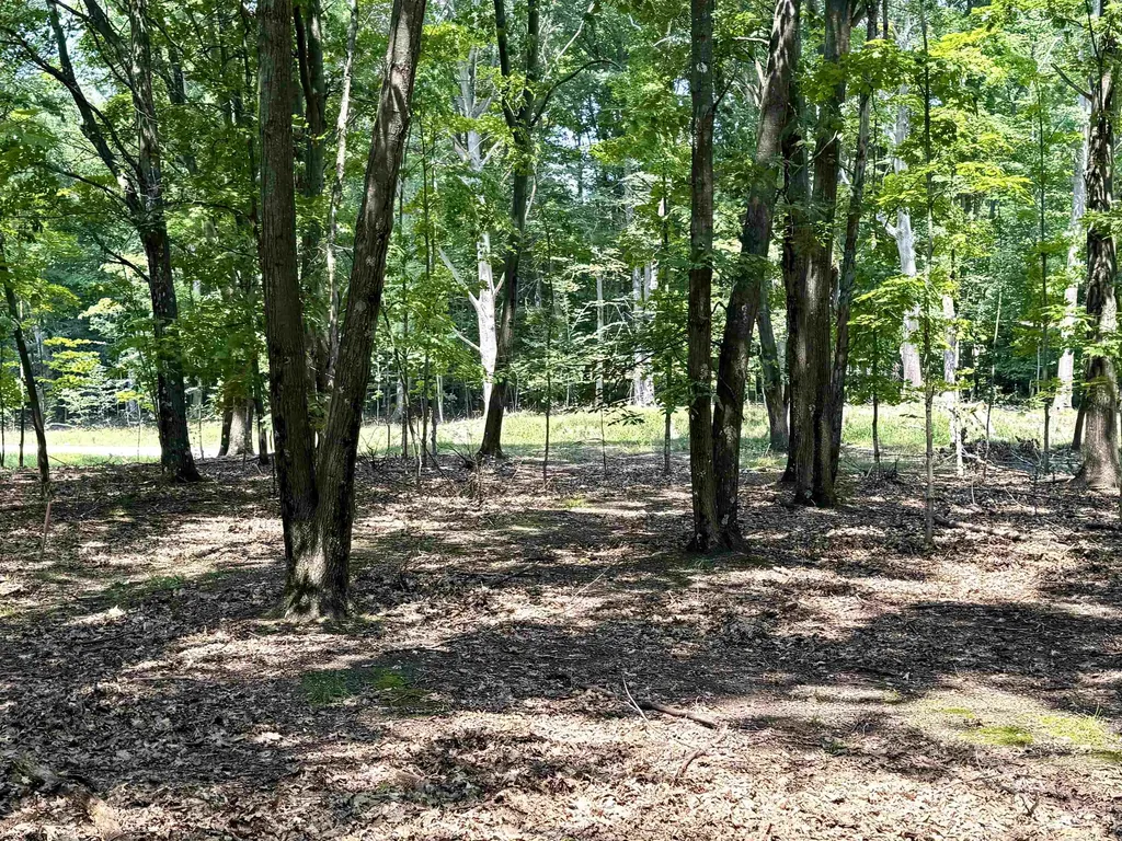 Lot E W Big Sky Trail Glen Arbor Township MI 49664