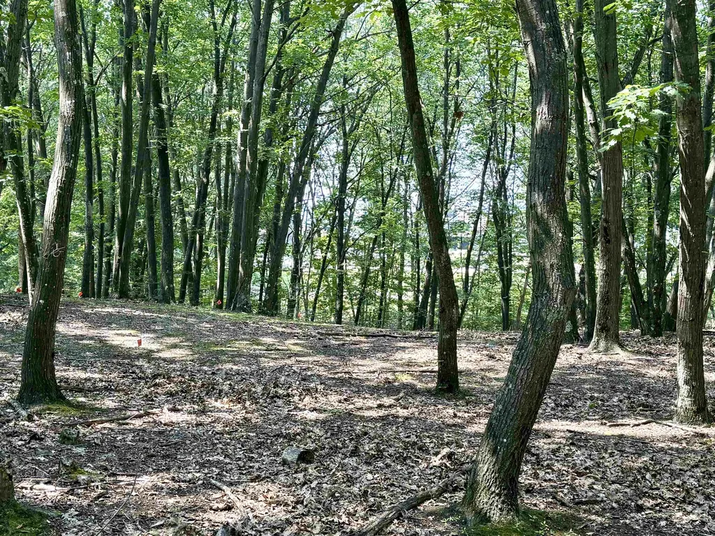 Lot E W Big Sky Trail Glen Arbor Township MI 49664