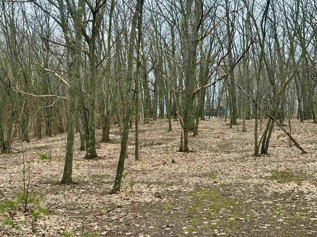 Lot E W Big Sky Trail Glen Arbor Township MI 49664