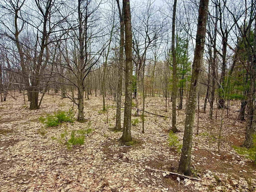 Lot E W Big Sky Trail Glen Arbor Township MI 49664