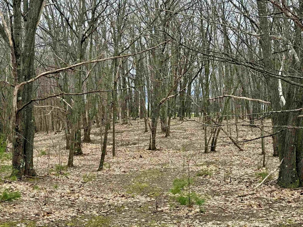 Lot E W Big Sky Trail Glen Arbor Township MI 49664