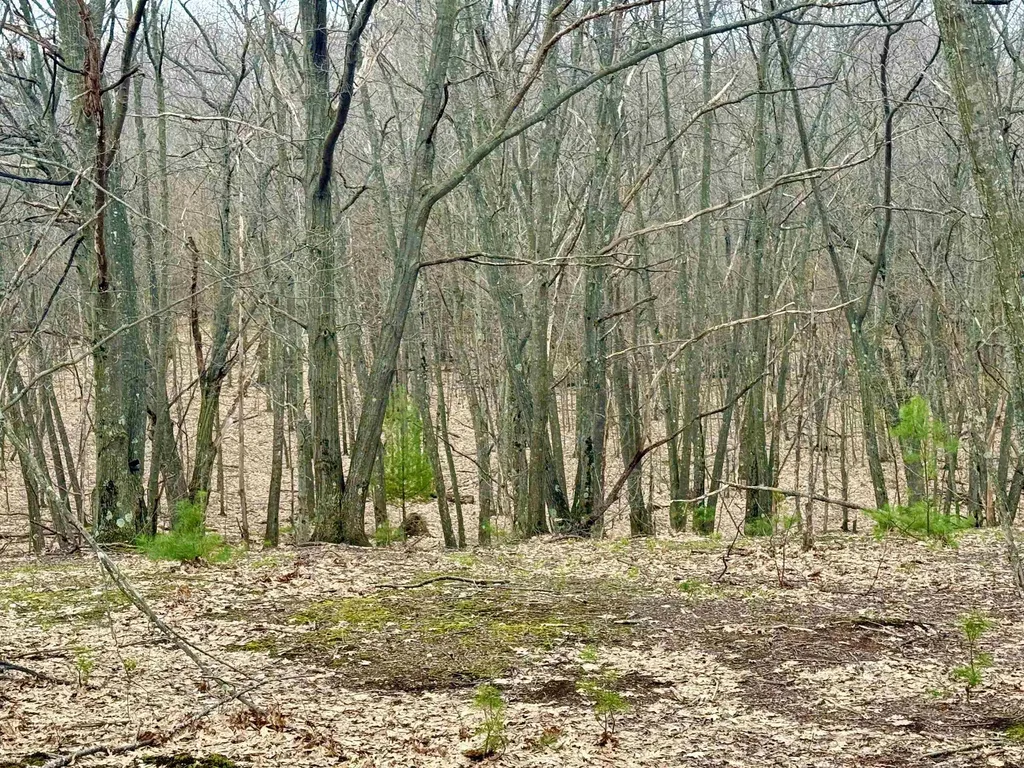 Lot E W Big Sky Trail Glen Arbor Township MI 49664