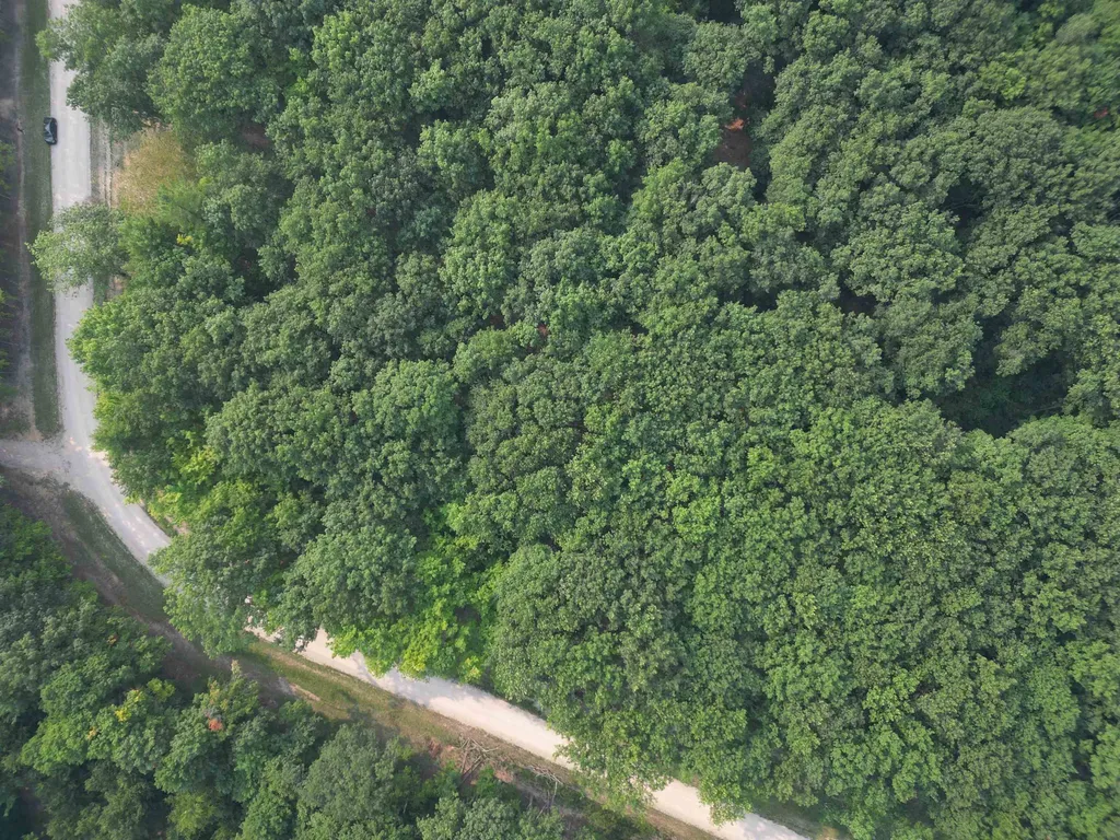 Lot E W Big Sky Trail Glen Arbor Township MI 49664