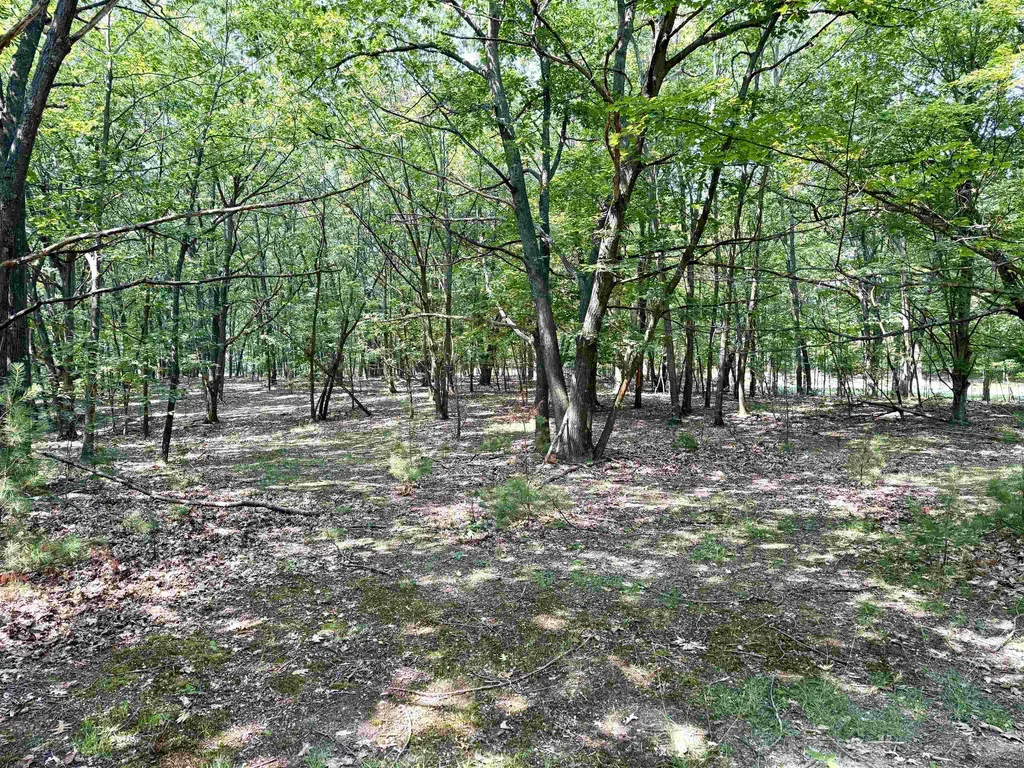 Lot E W Big Sky Trail Glen Arbor Township MI 49664