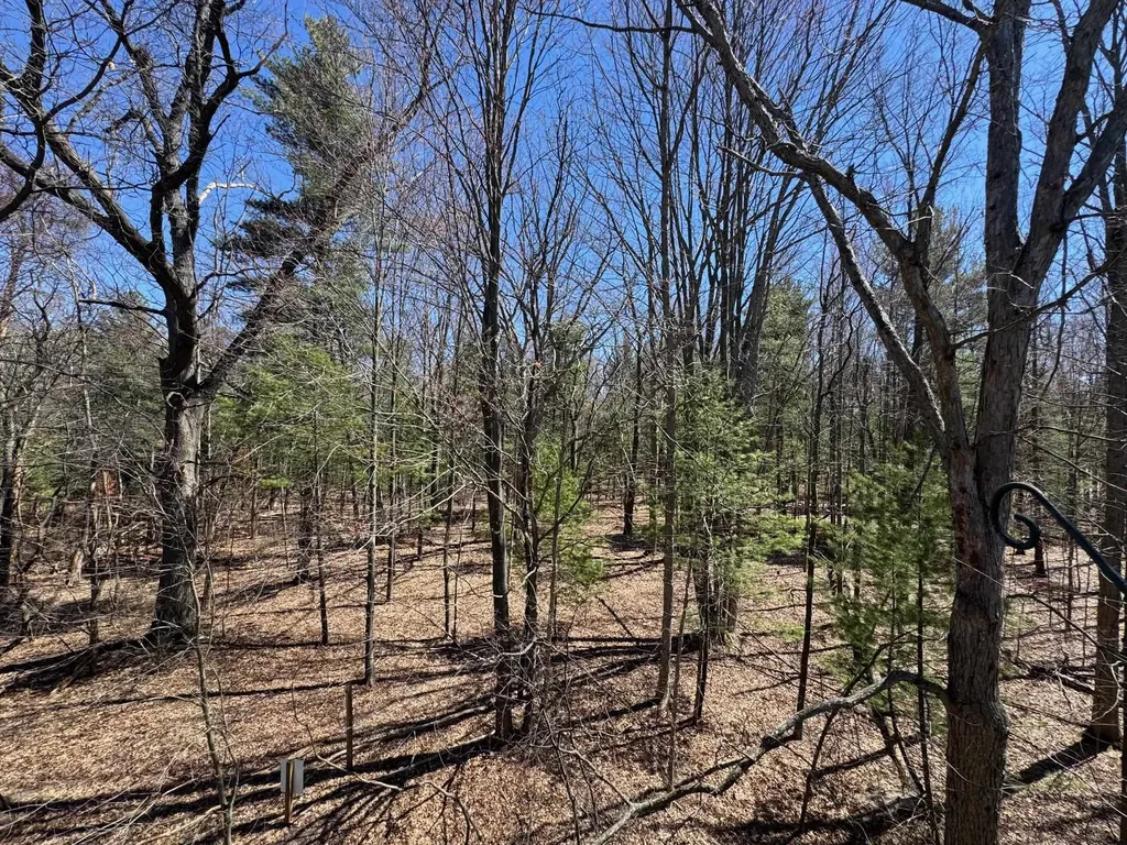 4250 Mitchell Creek Drive East Bay Township MI 49686