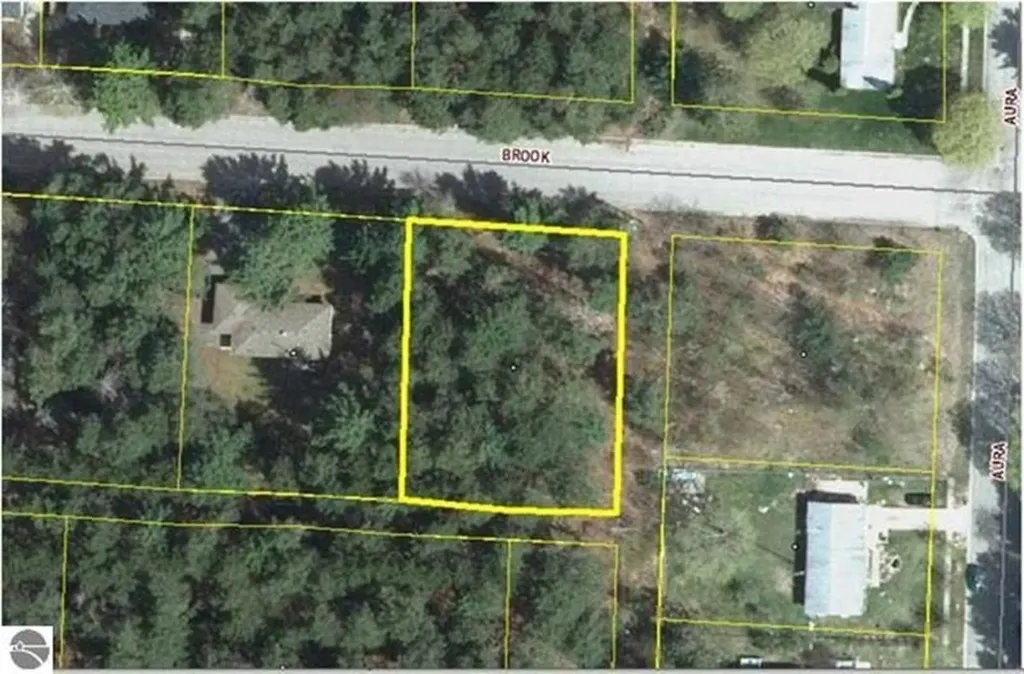 00 Brook Avenue Kaleva Village MI 49645