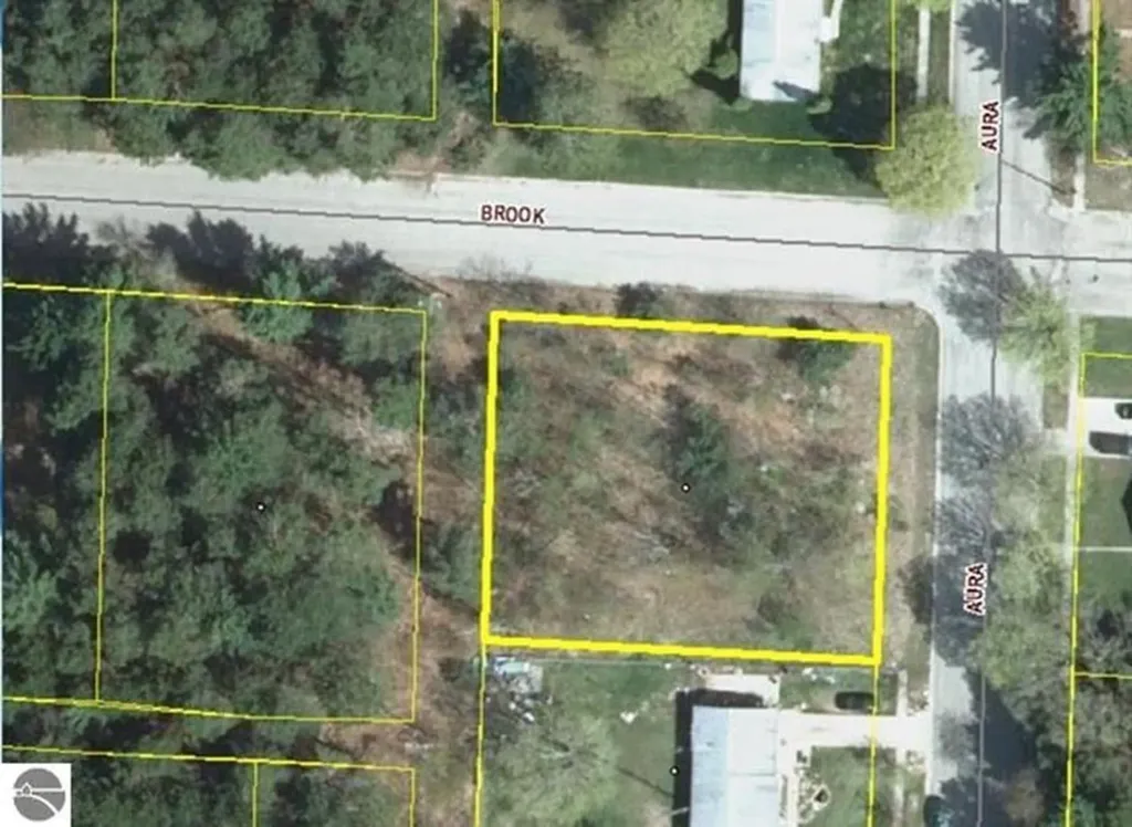00 Brook Avenue Kaleva Village MI 49645
