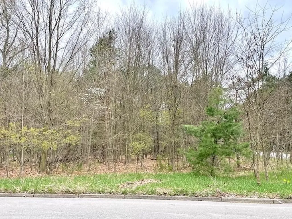 00 Brook Avenue Kaleva Village MI 49645