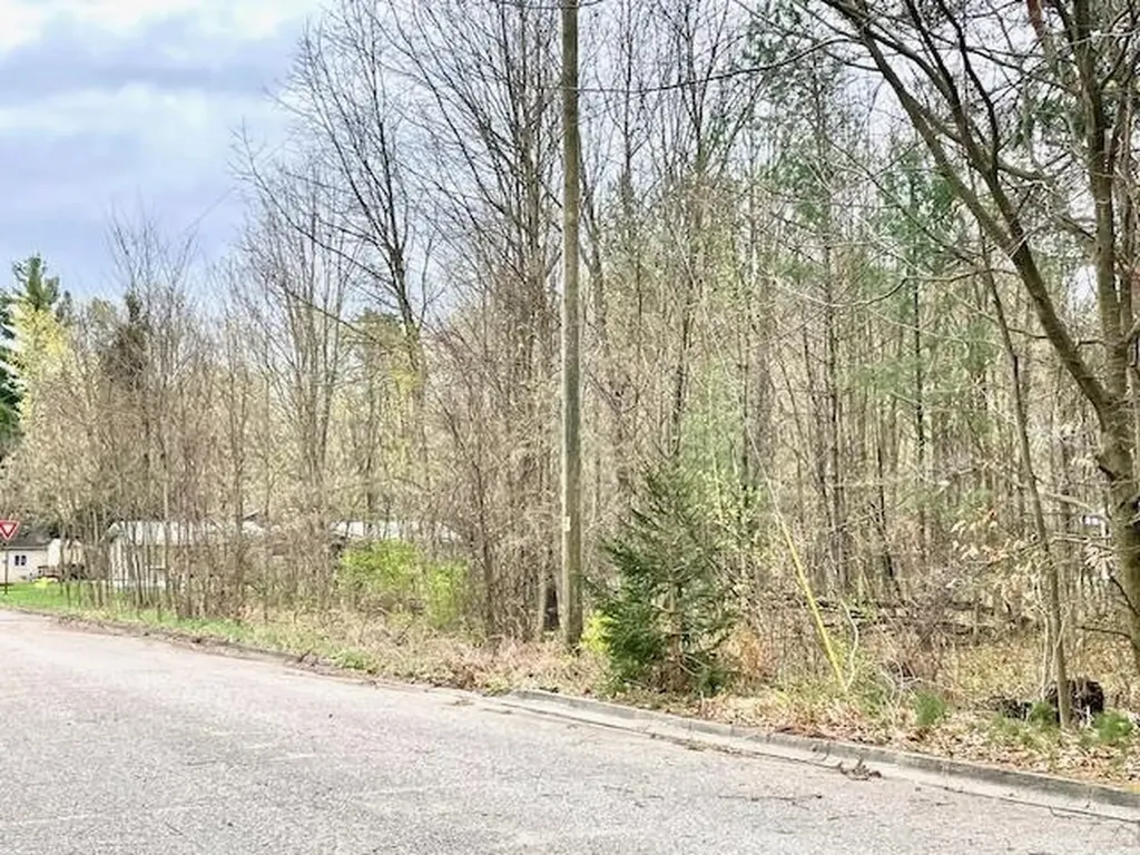 00 Brook Avenue Kaleva Village MI 49645