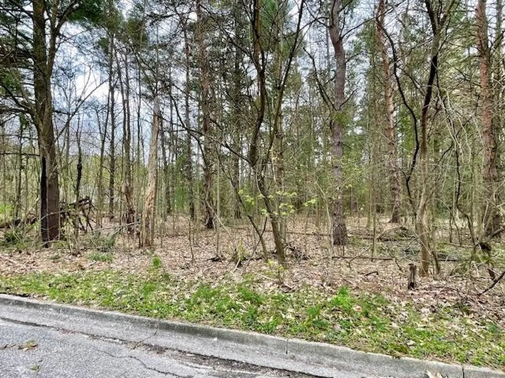 00 Brook Avenue Kaleva Village MI 49645