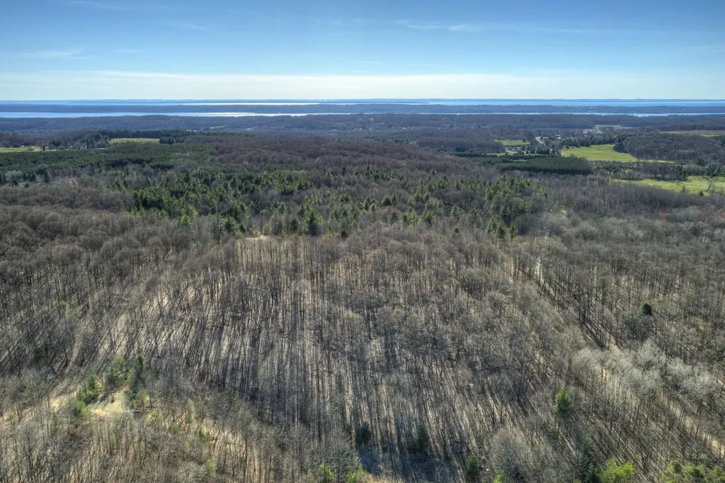 Parcel D Orchard Hill Road Forest Home Township MI 49615