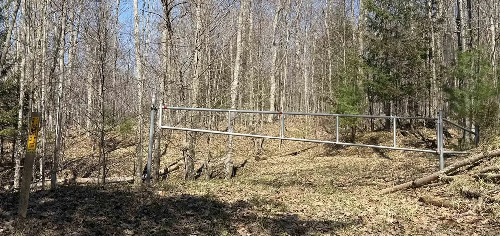 Parcel D Orchard Hill Road Forest Home Township MI 49615