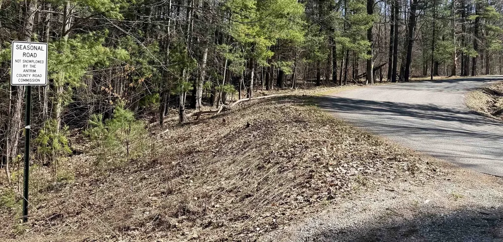 Parcel D Orchard Hill Road Forest Home Township MI 49615