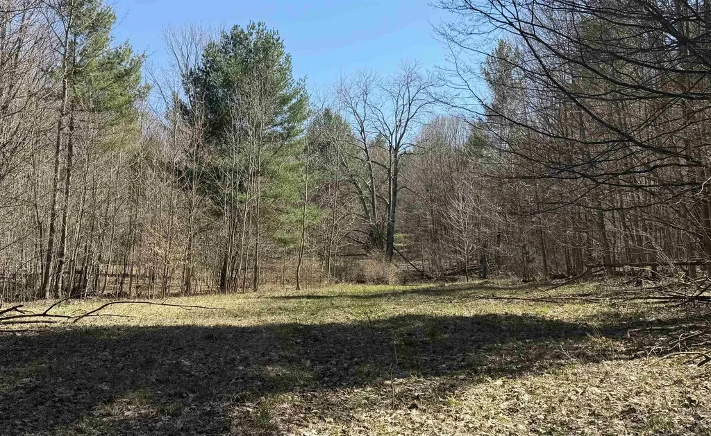 Parcel D Orchard Hill Road Forest Home Township MI 49615