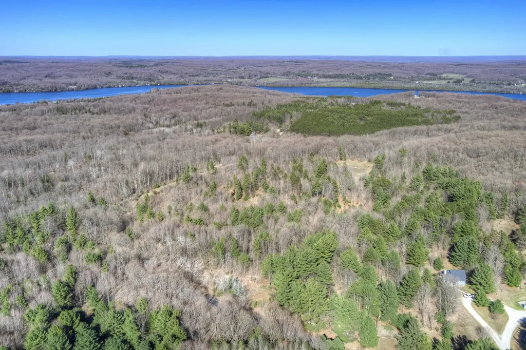 Parcel D Orchard Hill Road Forest Home Township MI 49615