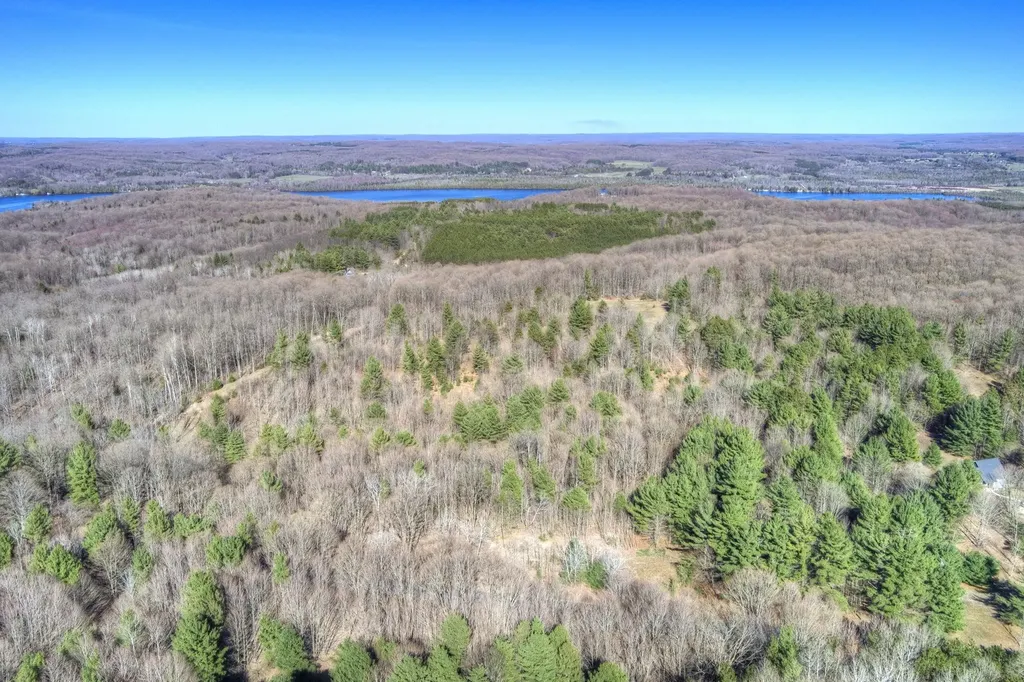 Parcel D Orchard Hill Road Forest Home Township MI 49615