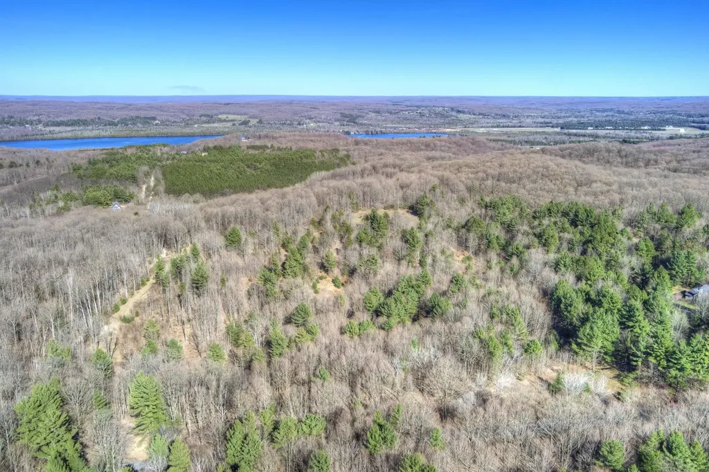 Parcel D Orchard Hill Road Forest Home Township MI 49615