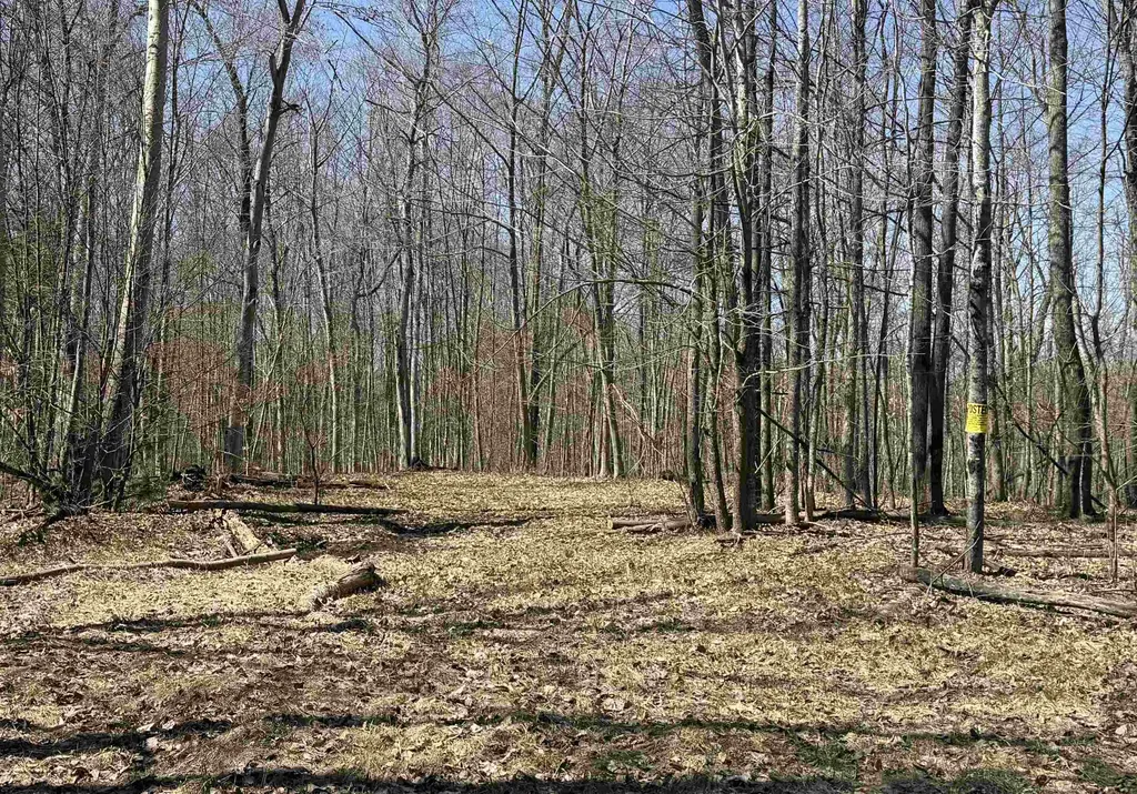 Parcel C Honey Hollow Road Forest Home Township MI 49615