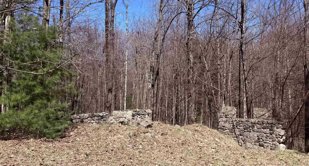Parcel C Honey Hollow Road Forest Home Township MI 49615