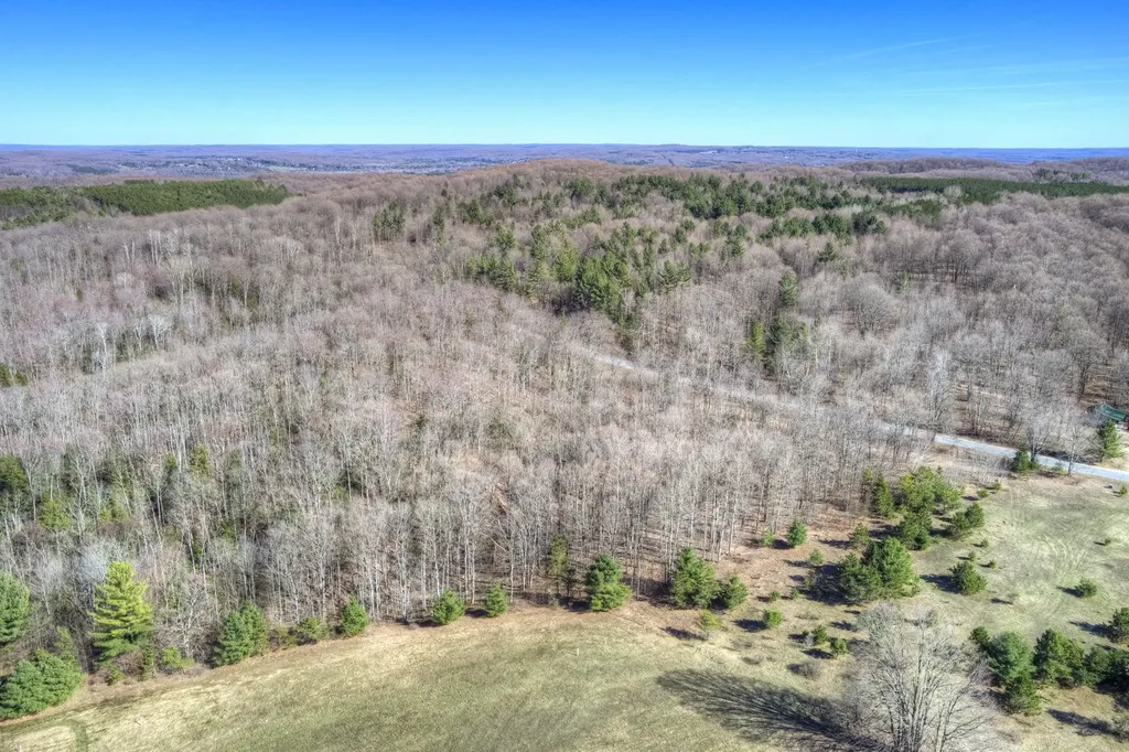 Parcel C Honey Hollow Road Forest Home Township MI 49615