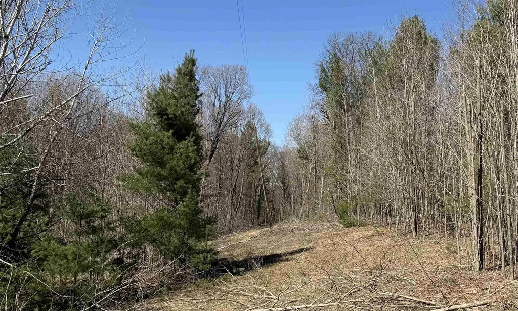 Parcel E Orchard Hill Road Forest Home Township MI 49615
