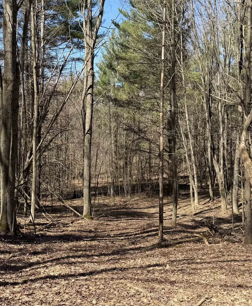 Parcel E Orchard Hill Road Forest Home Township MI 49615
