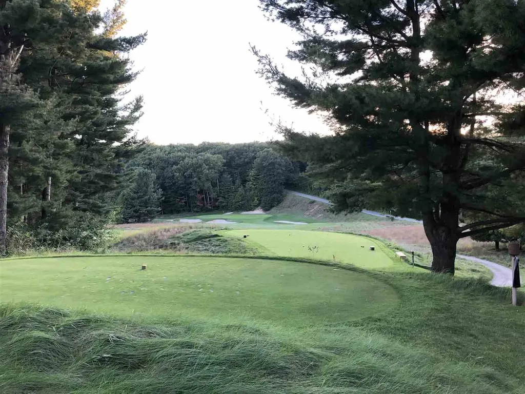Lot 122 Crystal Downs Drive Lake Township MI 49635