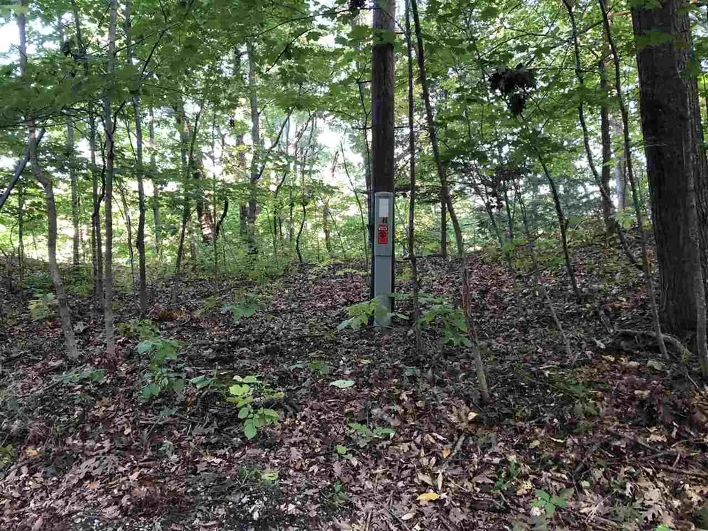 Lot 122 Crystal Downs Drive Lake Township MI 49635