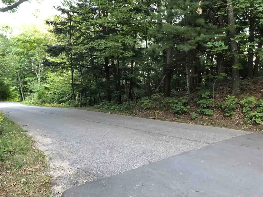 Lot 122 Crystal Downs Drive Lake Township MI 49635