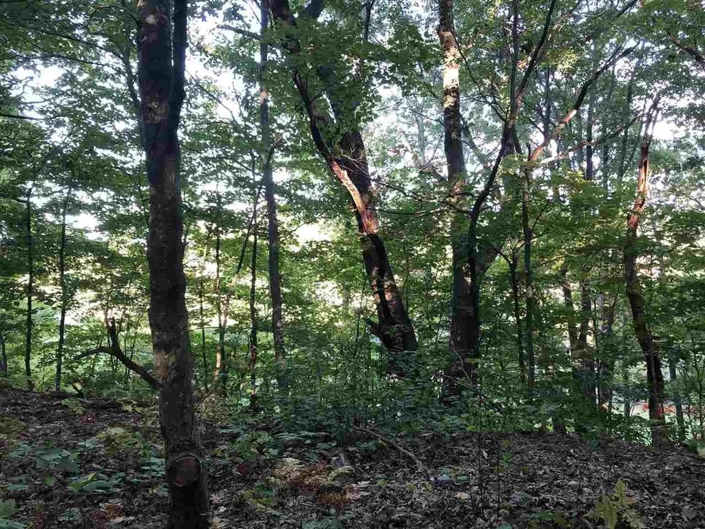 Lot 122 Crystal Downs Drive Lake Township MI 49635