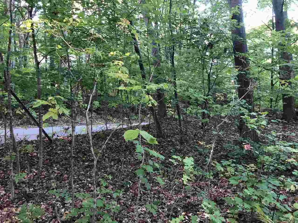 Lot 122 Crystal Downs Drive Lake Township MI 49635
