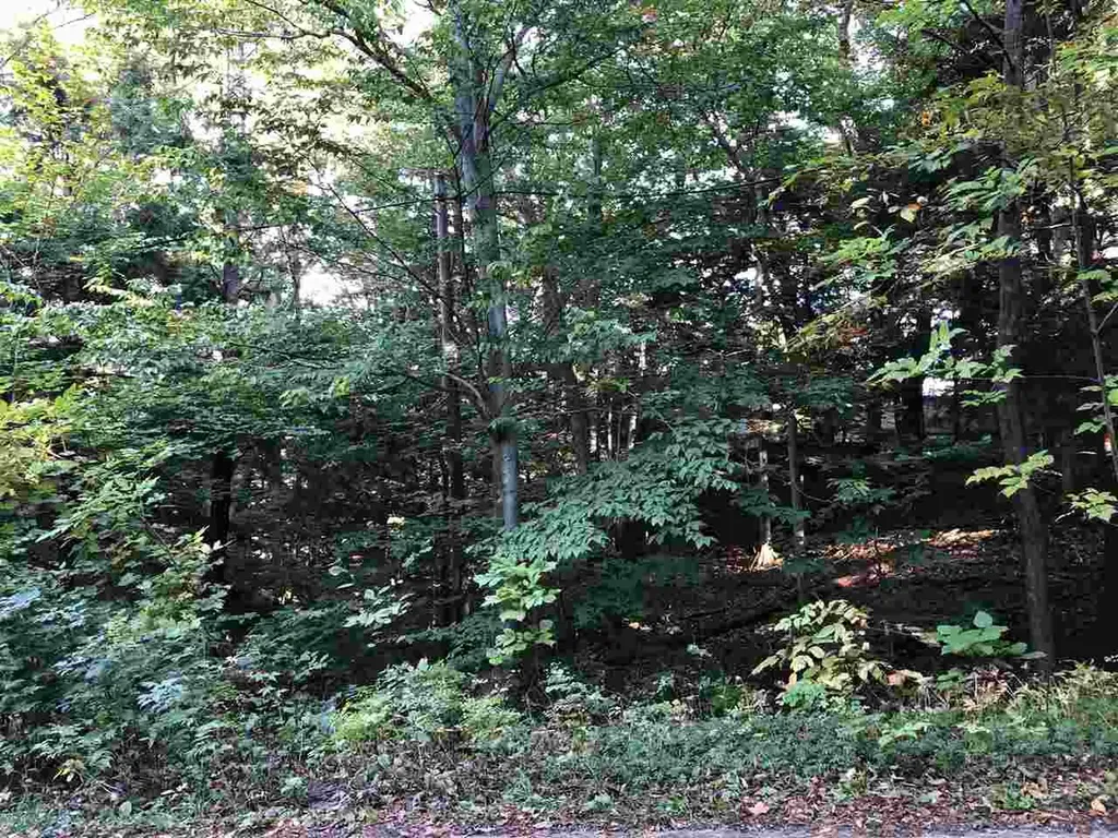 Lot 122 Crystal Downs Drive Lake Township MI 49635