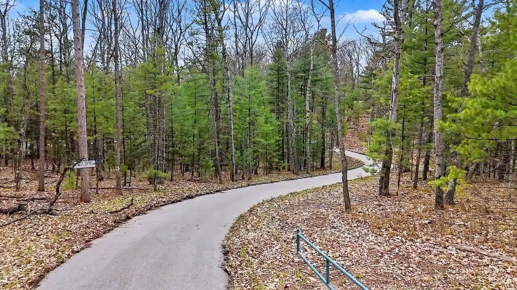 195 Starflower Lane Whitewater Township MI 49686