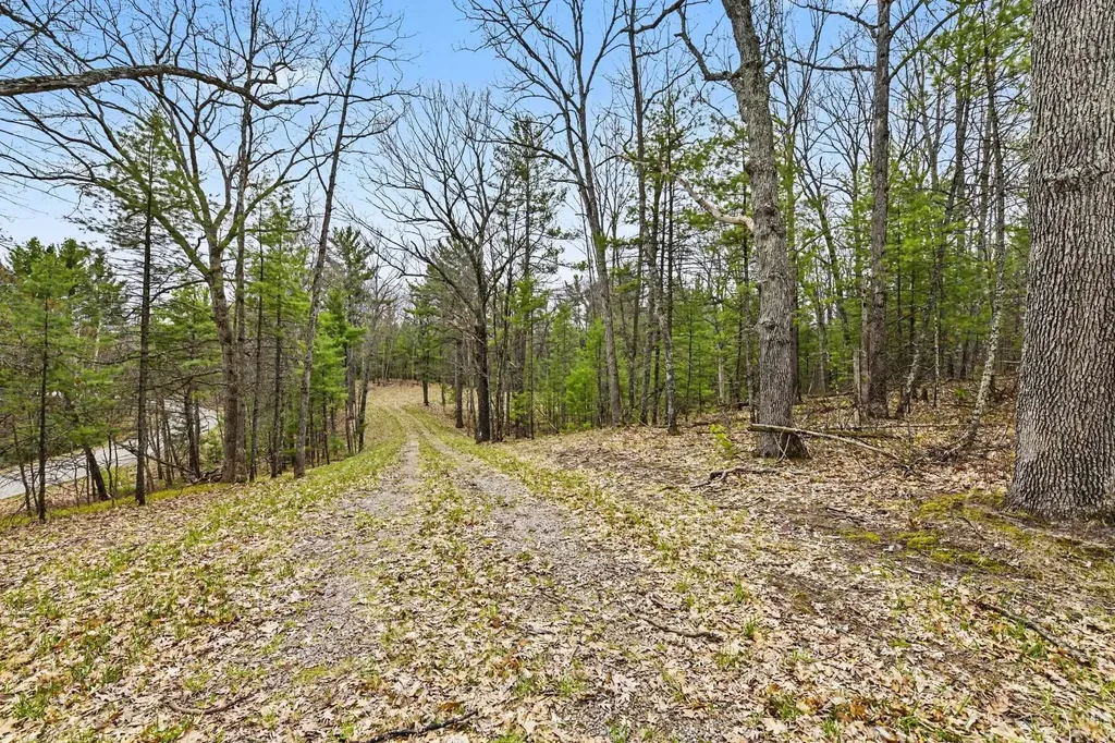 195 Starflower Lane Whitewater Township MI 49686