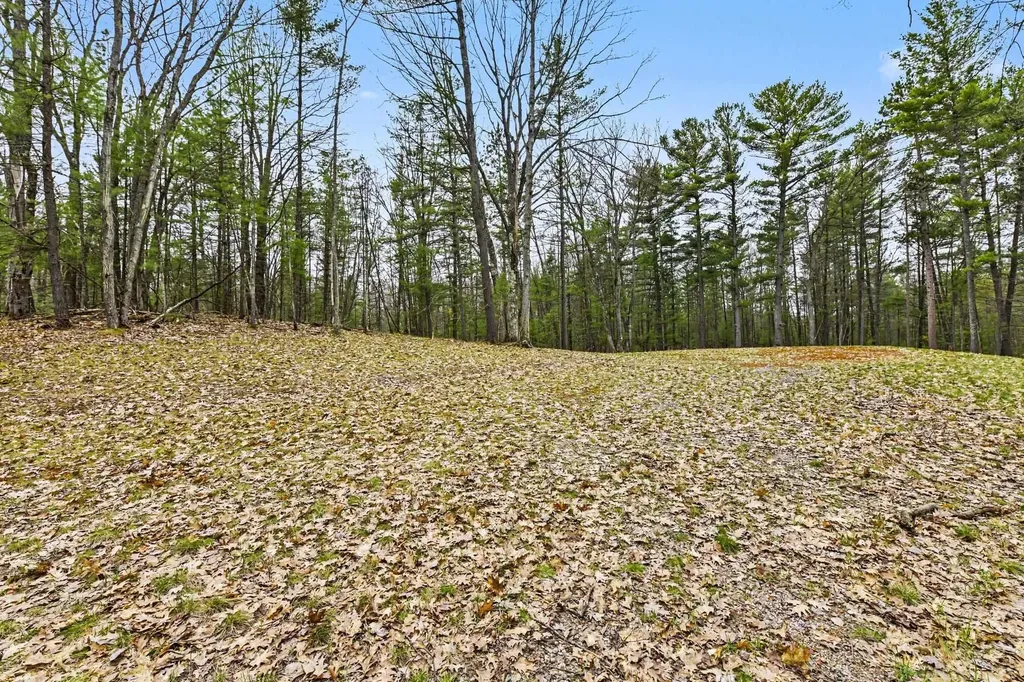 195 Starflower Lane Whitewater Township MI 49686