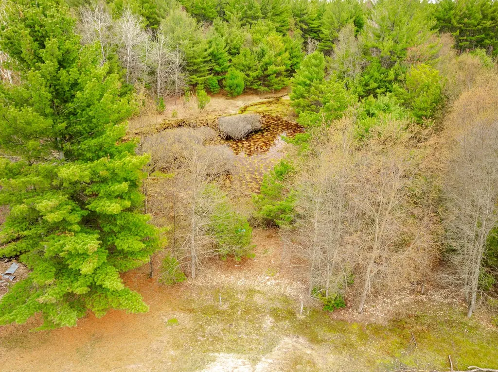 4935 SW Boardman Road Boardman Township MI 49680