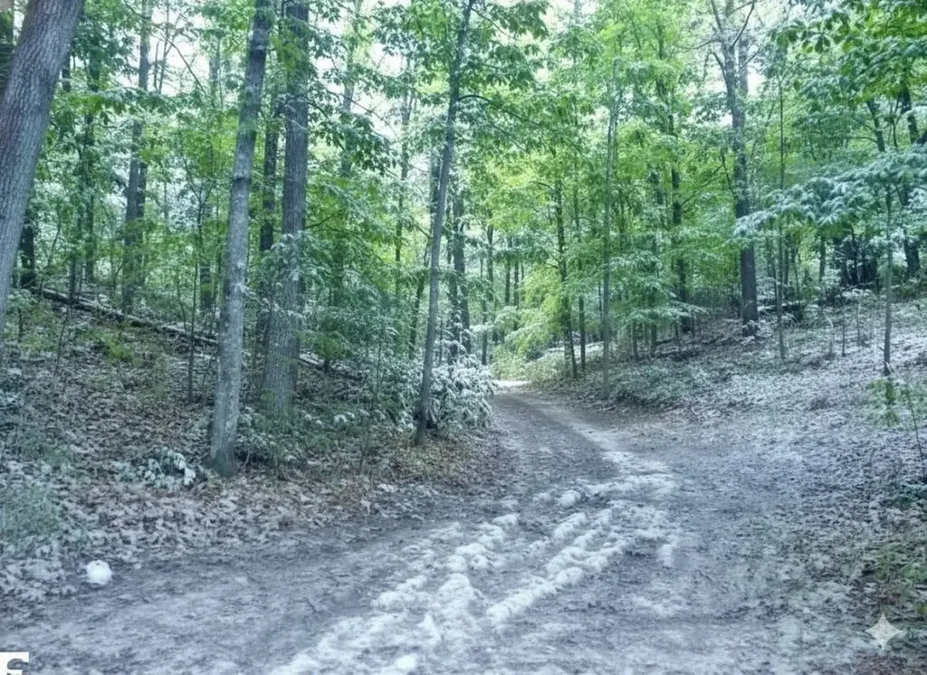 ***** Buckaroo Trail Bay Township MI 49770